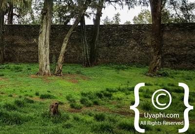 Church Of Debre Birhan Selassie