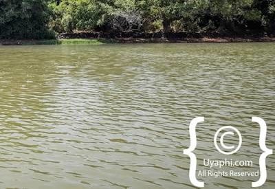 Entos Eyesu Monastery