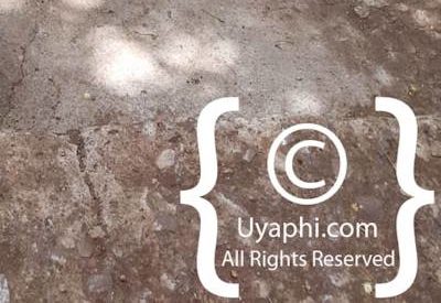 Entos Eyesu Monastery