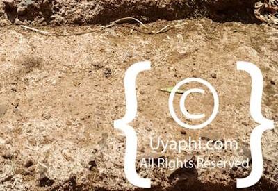 Entos Eyesu Monastery