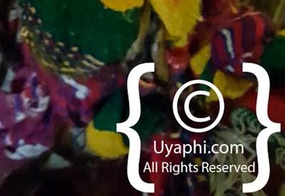 Entos Eyesu Lake Tana