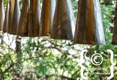 Entos Eyesu Lake Tana
