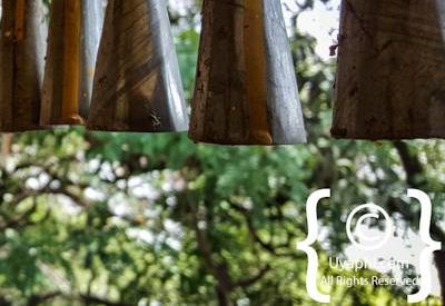 Entos Eyesu Lake Tana