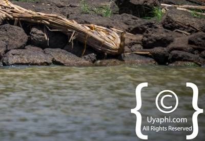 Lake Tana Image Gallery