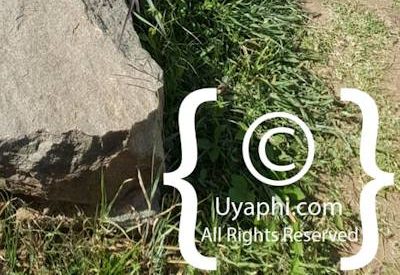 Queen Of Sheba Palace