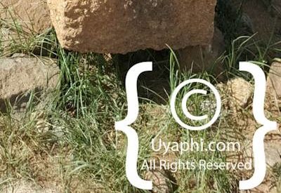 Queen Of Sheba Palace