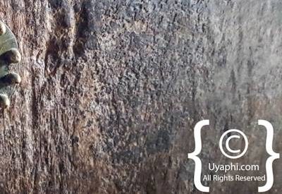 Church Of Yemrehanna Kristos