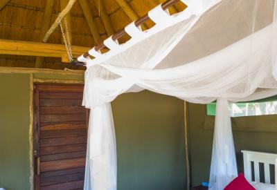 Omarunga Lodge Kunene River nature walk birding Kaokoland Damaraland Namibia