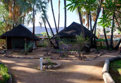 Omarunga Lodge makalani palms Kunene River Epupa Falls Kaokoland Namibia