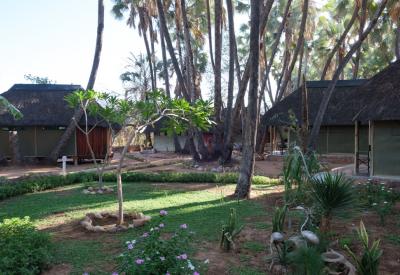 Omarunga Lodge makalani palms Kunene River Epupa Falls Kaokoland Namibia