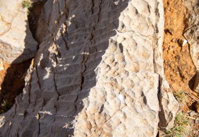 Desert succulents vegetation BullsPort Rock Arch Namib Naukluft Namibia photography