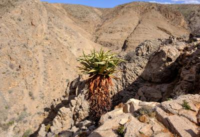Rocky ridge canyon views BullsPort Rock Arch Namib Naukluft Mountains Namibia