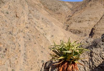 Rocky ridge canyon views BullsPort Rock Arch Namib Naukluft Mountains Namibia