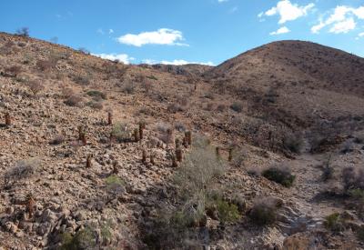 Mountain pass switchbacks BullsPort Rock Arch tour Namib Naukluft Namibia photography