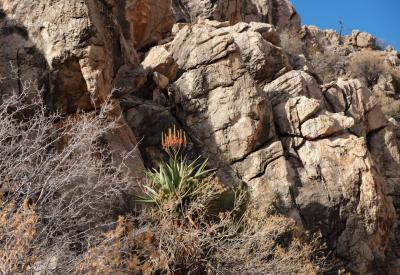 Namib Naukluft Mountains golden light BullsPort Rock Arch Namibia landscape photography