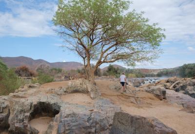 Birdlife Epupa Falls Kunene River Kaokoveld northern Namibia photography