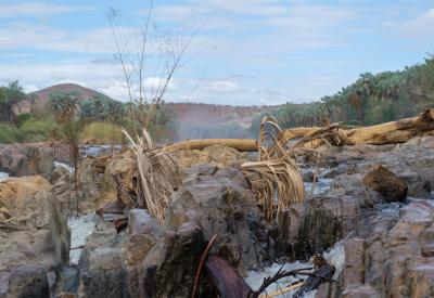 Epupa Falls lush vegetation arid Kaokoveld landscape Kunene River Namibia
