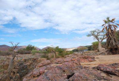 Epupa Falls makalani palm trees Kunene River Kaokoveld Namibia Angola border