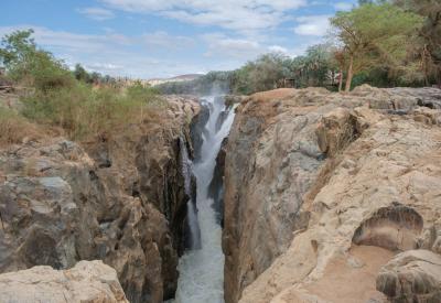 Nile crocodile Kunene River Epupa Falls Kaokoveld northern Namibia photography