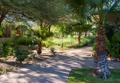 Elephant sighting from room Erindi Old Traders Lodge Erindi Private Game Reserve Namibia