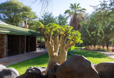Rhino Erindi Private Game Reserve Erindi Old Traders Lodge Namibia wildlife photography