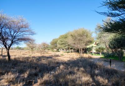 Erindi Private Game Reserve bushveld landscape Erindi Old Traders Lodge Namibia