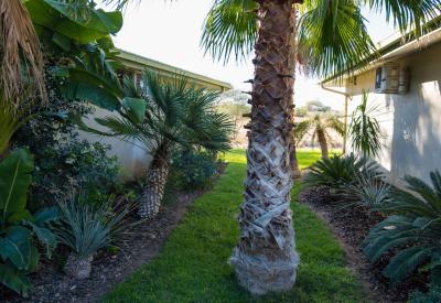 Erindi Old Traders Lodge safari hotel exterior Erindi Private Game Reserve Namibia