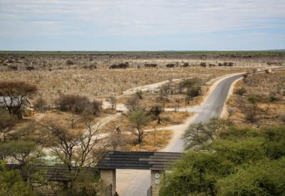Black rhino waterhole Etosha National Park Namibia wildlife photography