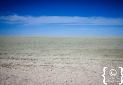 Flamingos Etosha Pan Namibia National Park 22270km² birdlife photography
