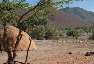Ovahimba Himba village dogs animals Kunene River Kaokoland Namibia cultural safari