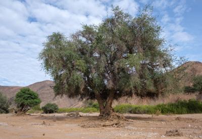 Hoanib River Valley mountain ranges Kaokoland Damaraland Namibia remote landscape