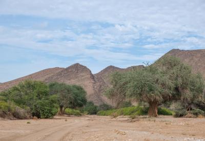 Hoanib River Valley floor wide plains Kaokoland Damaraland northern Namibia photography