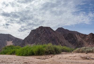 Hoanib River Valley dry riverbed stretching distance Kaokoland Namibia 4x4 adventure