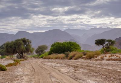 Hoanib River Valley dry riverbed stretching distance Kaokoland Namibia 4x4 adventure