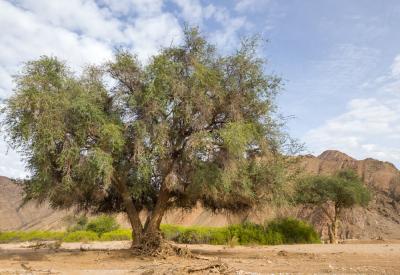 Hoanib River Valley light shadow canyon walls Kaokoland Namibia landscape photography