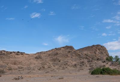 Hoanib River Valley desert vegetation riverbed Kaokoland Damaraland Namibia photography