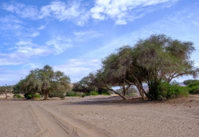 Hoanib River Valley vast sky isolation Kaokoland remote northern Namibia photography