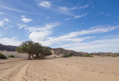 Hoanib River Valley golden hour Kaokoland northern Namibia utterly amazing photography