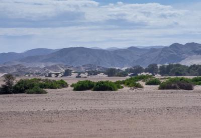 Hoanib River Valley golden hour Kaokoland northern Namibia utterly amazing photography