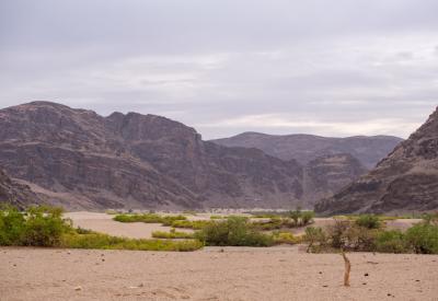 Hoanib River Valley acacia trees sheer cliffs Kaokoland northern Namibia landscape photography