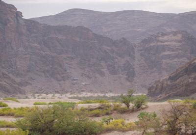 Hoanib River Valley acacia trees sheer cliffs Kaokoland northern Namibia landscape photography