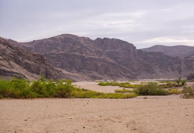 Desert-adapted elephant Hoanib River Valley riverbed Kaokoland Namibia Damaraland