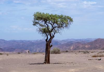 Hoarusib River Valley narrow canyon entrance Kaokoland Skeleton Coast Namibia photography