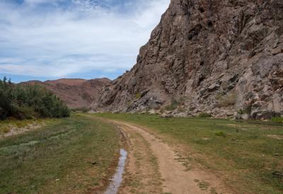 Hoarusib River Valley desert vegetation riverbanks Kaokoland northern Namibia