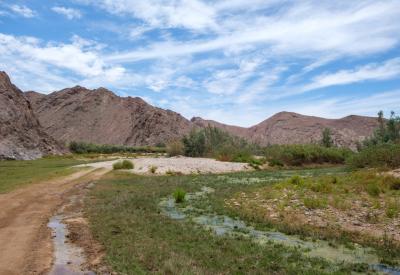 Hoarusib River Valley desert vegetation riverbanks Kaokoland northern Namibia