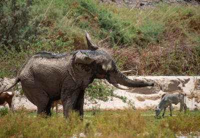 Hoarusib River Valley wide open sky Kaokoland Namibia Skeleton Coast safari