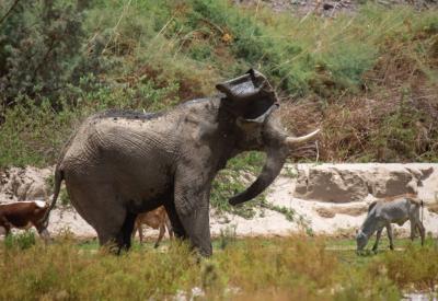 Hoarusib River Valley wide open sky Kaokoland Namibia Skeleton Coast safari