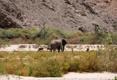Hoarusib River Valley meets Skeleton Coast sand dunes Namibia photography