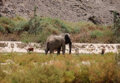 Hoarusib River Valley meets Skeleton Coast sand dunes Namibia photography