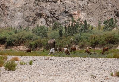 Hoarusib River Valley combine with Hoanib River Kaokoland northern Namibia adventure